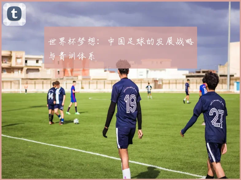 世界杯梦想：中国足球的发展战略与青训体系