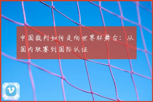 中国裁判如何走向世界杯舞台：从国内联赛到国际认证