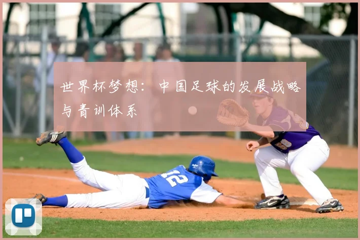 世界杯梦想：中国足球的发展战略与青训体系