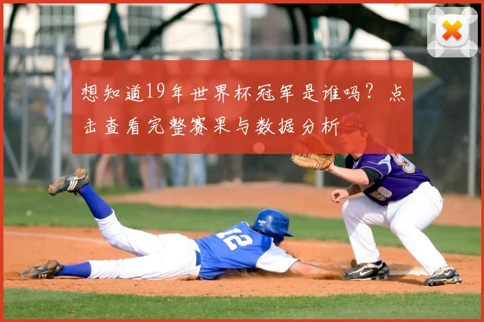 想知道19年世界杯冠军是谁吗？点击查看完整赛果与数据分析