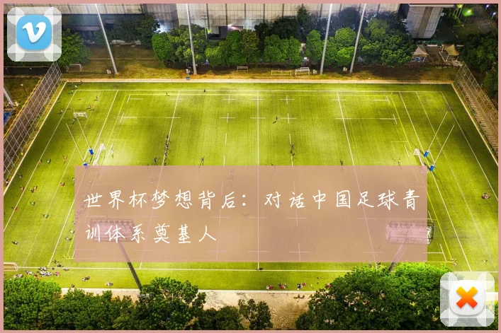 世界杯梦想背后：对话中国足球青训体系奠基人