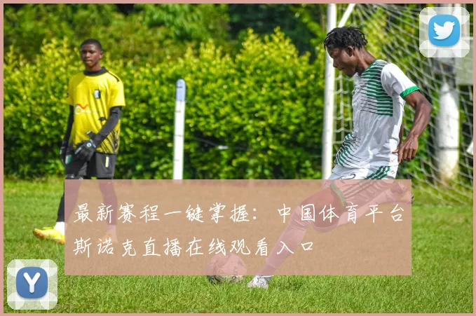 最新赛程一键掌握：中国体育平台斯诺克直播在线观看入口