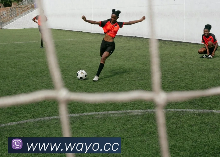 云开体育app官网入口在哪品牌故事