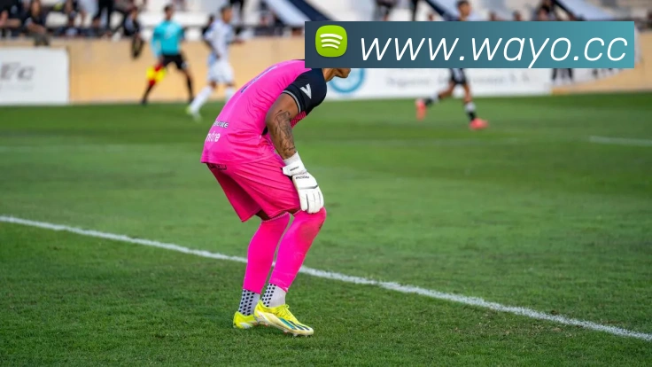 云开体育app官网入口在哪服务体系